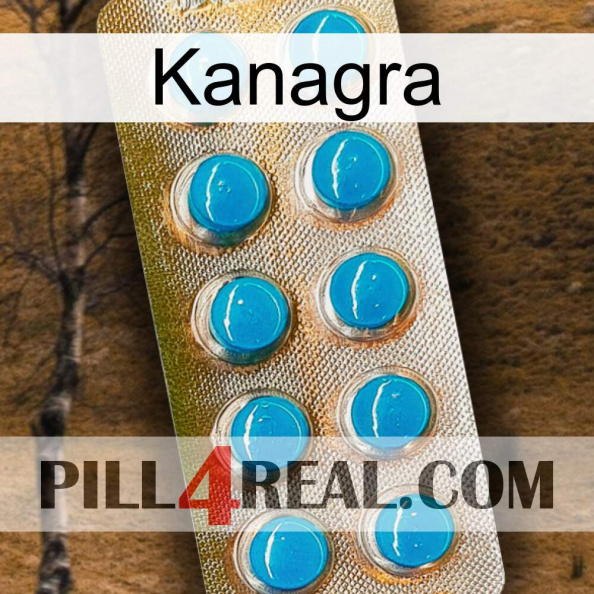 Kanagra new09.jpg